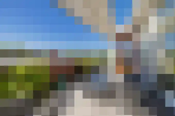 Dobbe 19 Stiens thumbnail 27