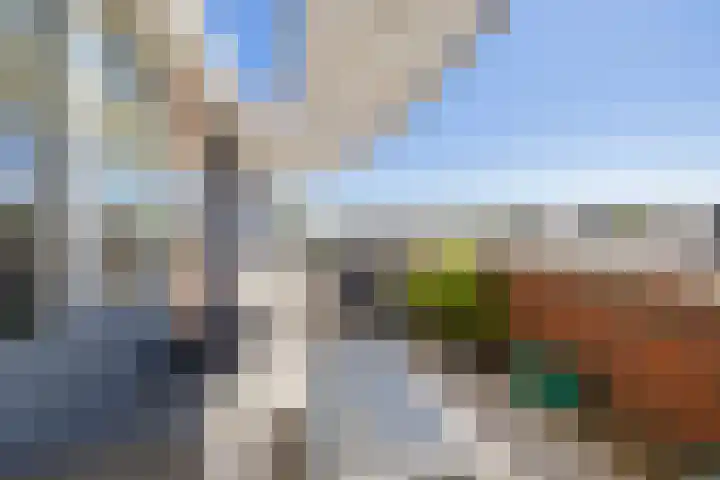 Dobbe 19 Stiens thumbnail 28