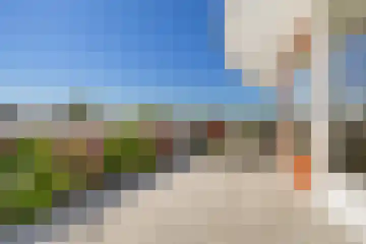 Dobbe 19 Stiens thumbnail 4