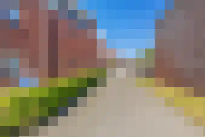 Dobbe 19 Stiens thumbnail 40