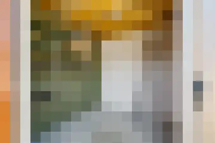 Dobbe 19 Stiens thumbnail 43