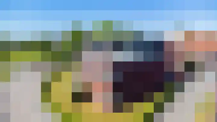 Dobbe 19 Stiens thumbnail 46