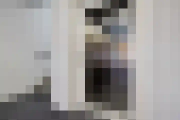 Dobbe 19 Stiens thumbnail 5