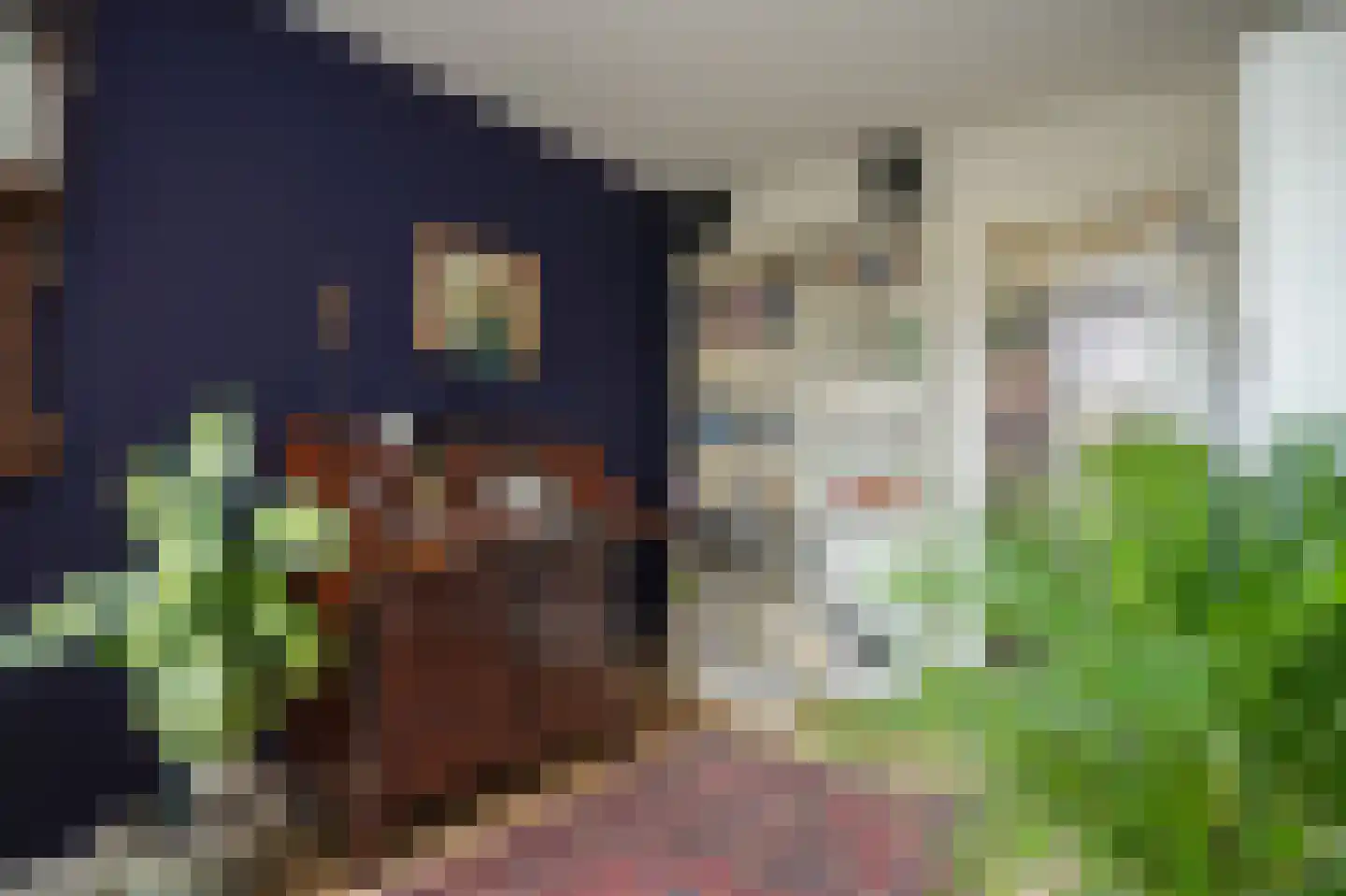 Dobbe 3 Geldermalsen thumbnail 19