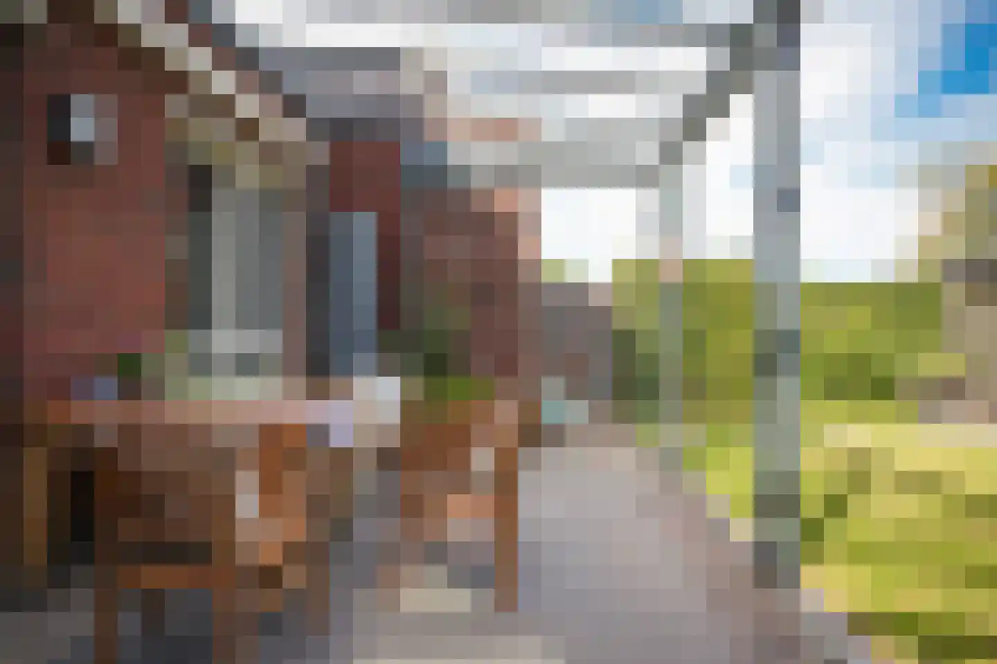 Dobbe 3 Geldermalsen thumbnail 35