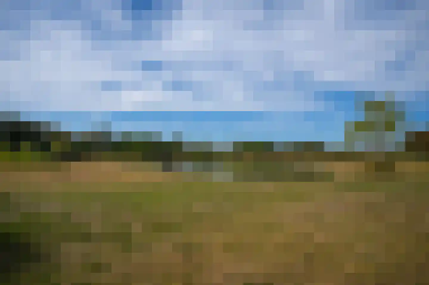 Dobbe 3 Geldermalsen thumbnail 51