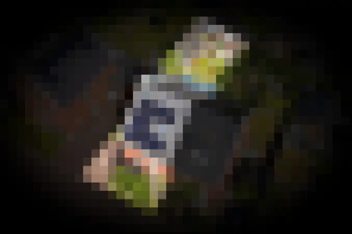 Dobbe 3 Geldermalsen thumbnail 53