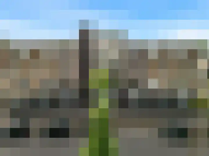 Dobbedreef 59 Leiden thumbnail 29