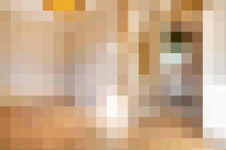 Dobbedreef 67 Leiden thumbnail 14