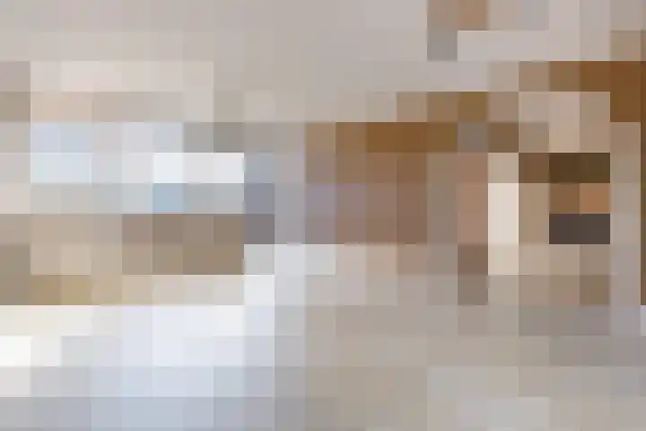 Dobbedreef 67 Leiden thumbnail 5