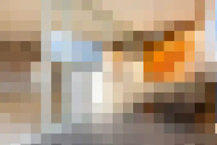 Dobbedreef 67 Leiden thumbnail 7