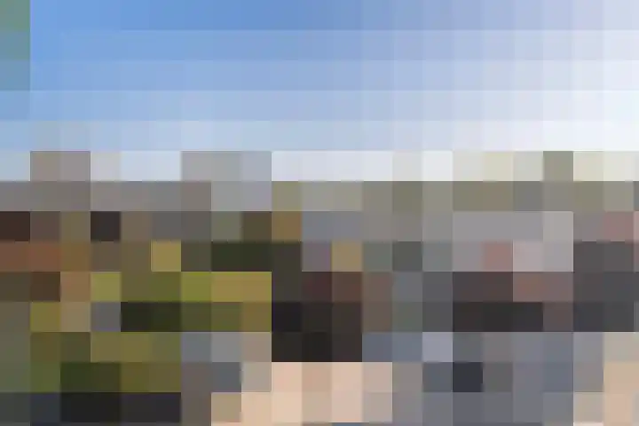 Dobbedreef 75 Leiden thumbnail 10