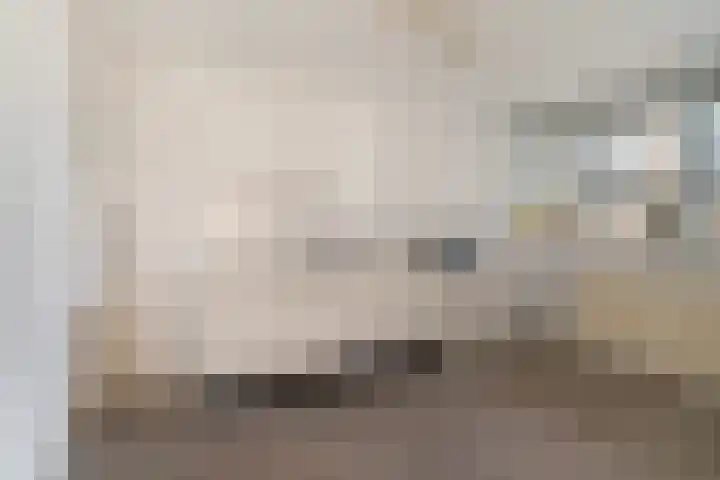 Dobbedreef 75 Leiden thumbnail 11