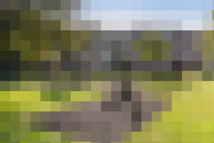 Dobbedreef 75 Leiden thumbnail 21