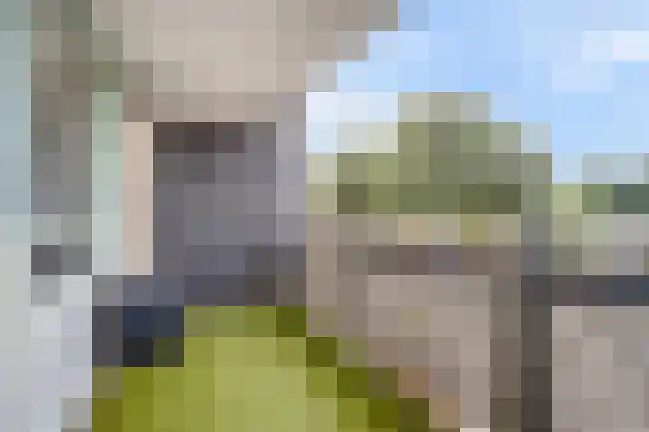 Dobbedreef 89 Leiden thumbnail 17