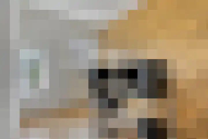 Dobbedreef 89 Leiden thumbnail 24