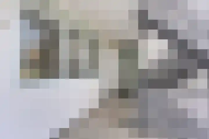 Dobbedreef 89 Leiden thumbnail 31