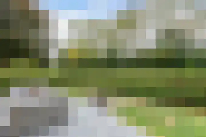 Dobbehôf 1 Menaam thumbnail 11
