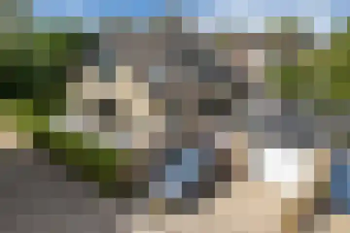 Dobbehôf 1 Menaam thumbnail 14
