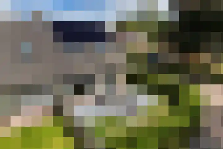 Dobbehôf 1 Menaam thumbnail 17