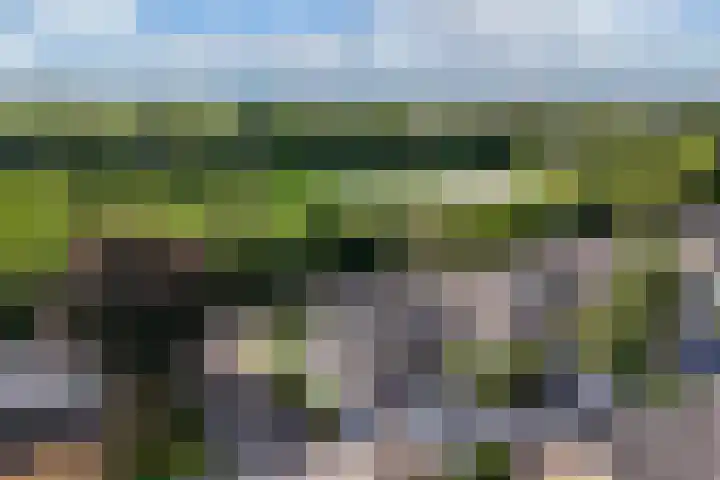 Dobbehôf 1 Menaam thumbnail 18