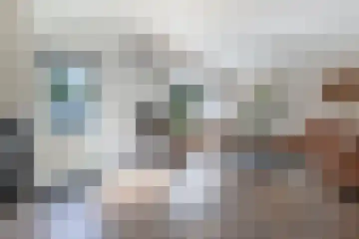 Dobbehôf 1 Menaam thumbnail 21