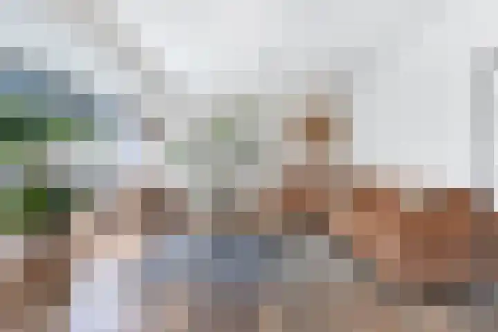 Dobbehôf 1 Menaam thumbnail 24