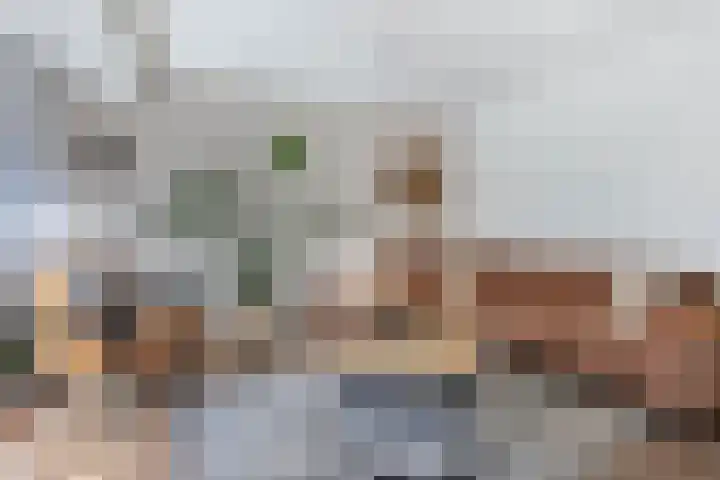 Dobbehôf 1 Menaam thumbnail 25