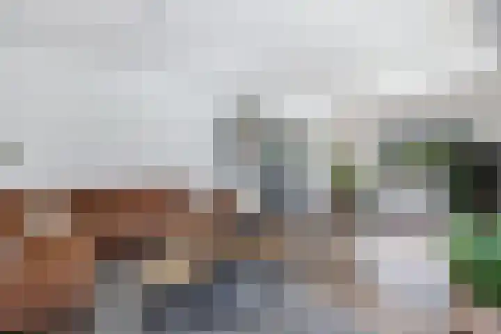 Dobbehôf 1 Menaam thumbnail 26