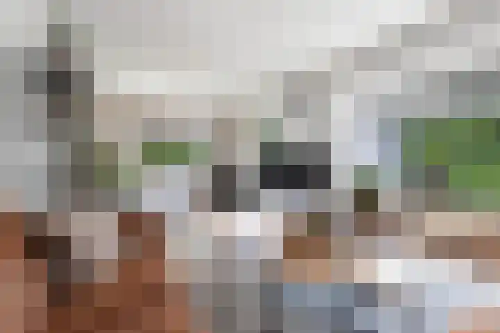 Dobbehôf 1 Menaam thumbnail 27