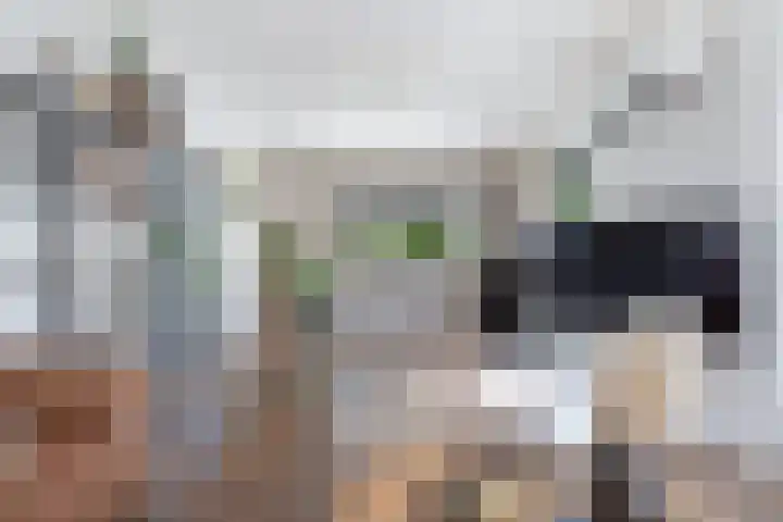 Dobbehôf 1 Menaam thumbnail 28