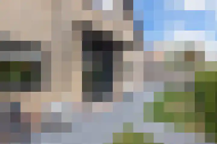 Dobbehôf 1 Menaam foto 3