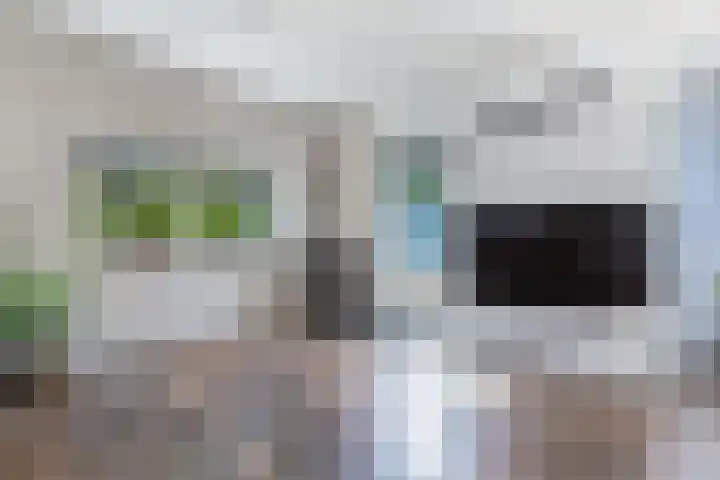 Dobbehôf 1 Menaam thumbnail 30