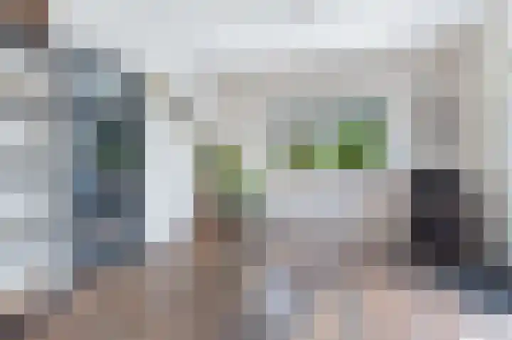 Dobbehôf 1 Menaam thumbnail 31