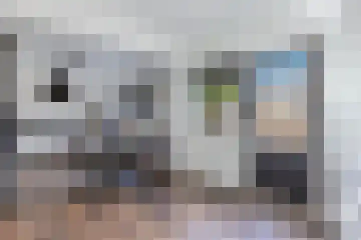 Dobbehôf 1 Menaam thumbnail 32