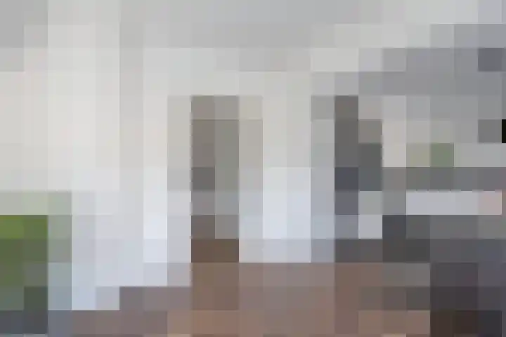 Dobbehôf 1 Menaam thumbnail 34