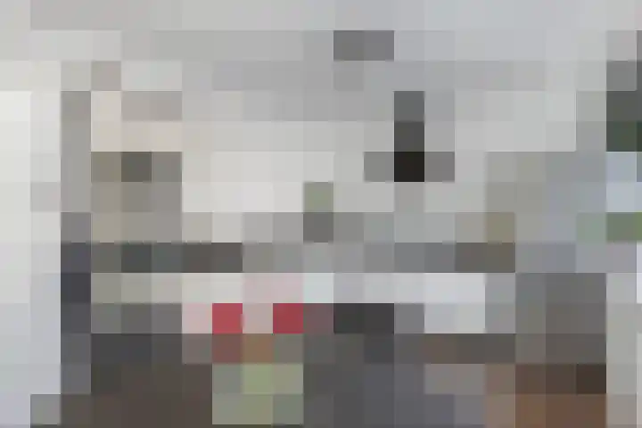Dobbehôf 1 Menaam thumbnail 36