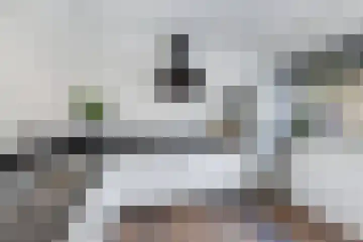 Dobbehôf 1 Menaam thumbnail 39