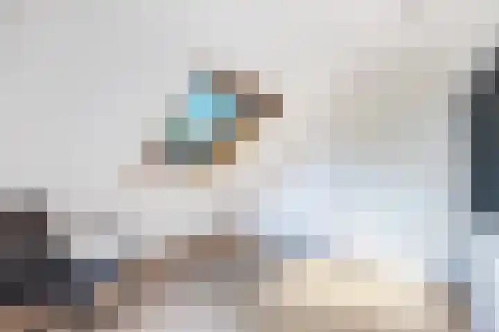 Dobbehôf 1 Menaam thumbnail 49