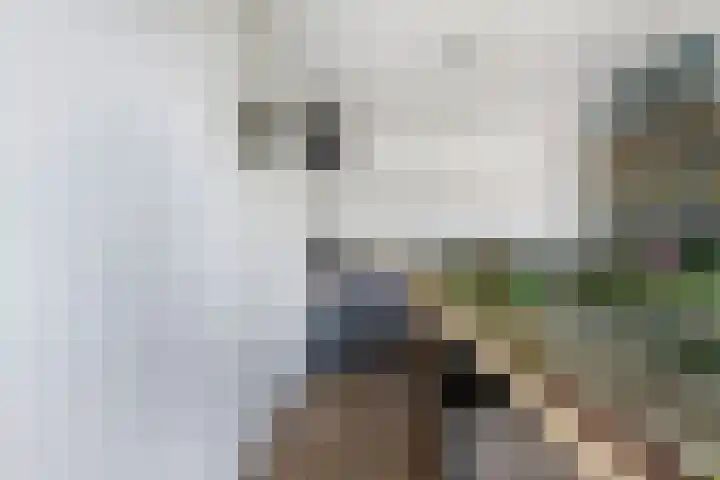 Dobbehôf 1 Menaam thumbnail 51