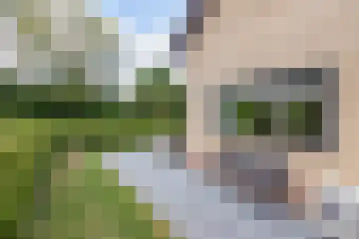 Dobbehôf 1 Menaam thumbnail 6