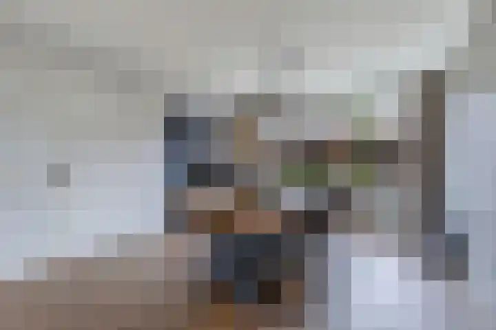 Dobbehôf 15 Menaam thumbnail 17