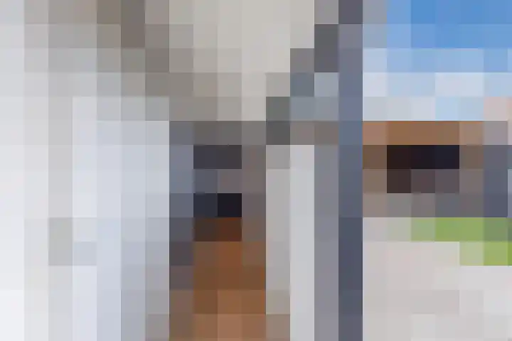 Dobbehôf 15 Menaam thumbnail 23