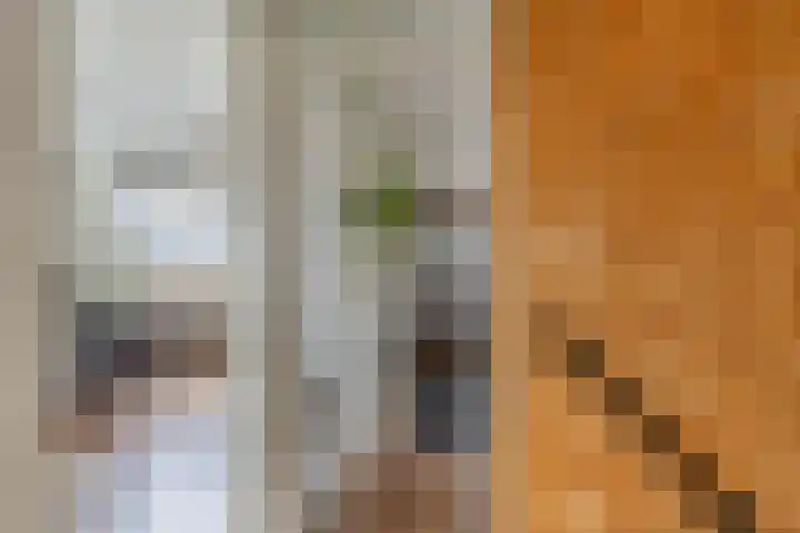Dobbehôf 15 Menaam thumbnail 27