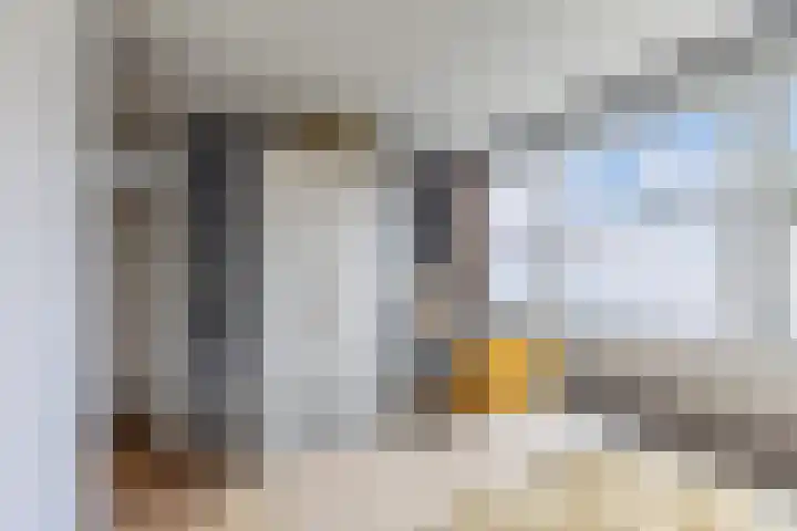 Dobbehôf 15 Menaam thumbnail 31