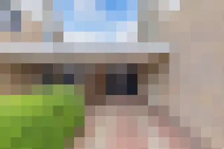 Dobbehôf 15 Menaam thumbnail 5