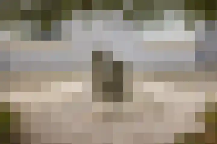 Dobbehôf 27 Goutum thumbnail 10