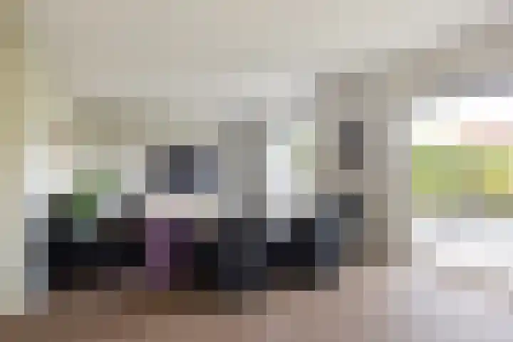 Dobbehôf 27 Goutum thumbnail 15