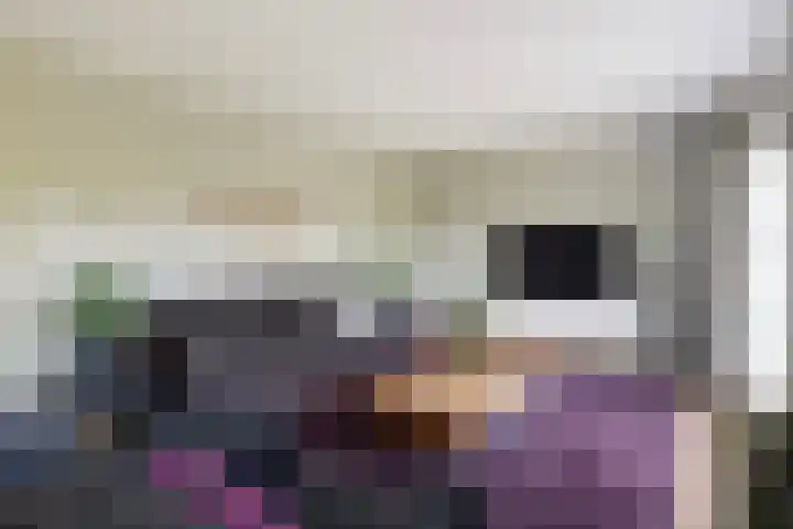 Dobbehôf 27 Goutum thumbnail 16