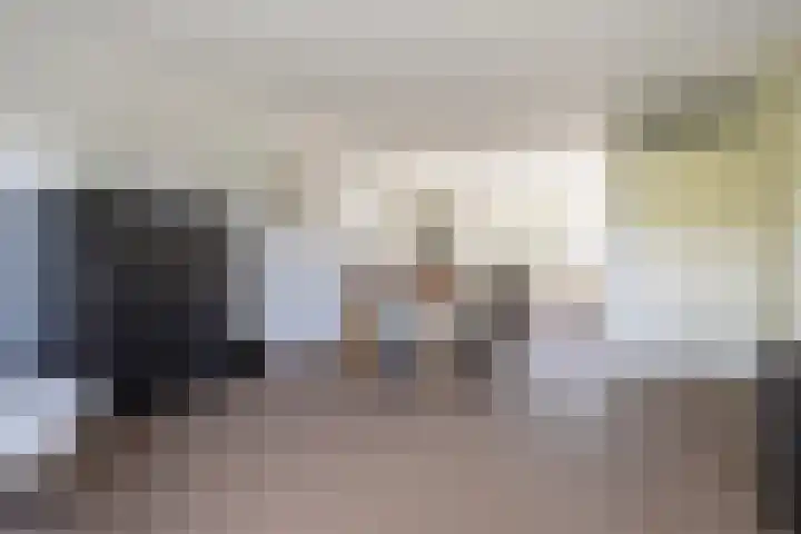 Dobbehôf 27 Goutum thumbnail 19